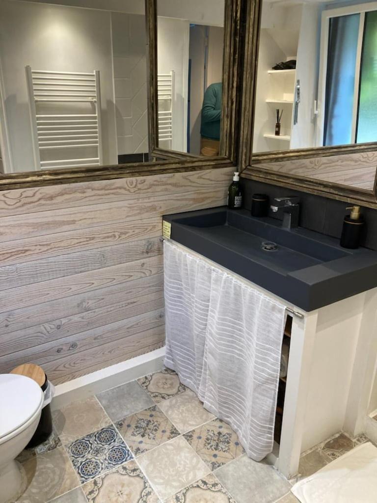 La Berge Du Clain - Joli Appartement A Poitiers Esterno foto